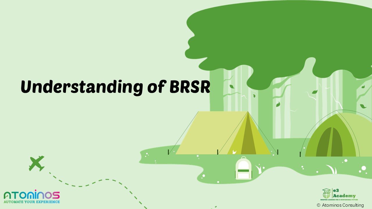 BRSR - Business Responsibility and Sustainability Reporting